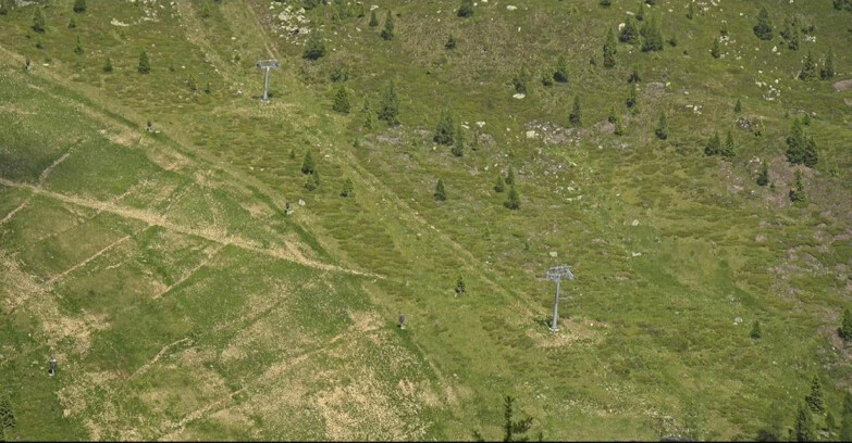 Webcam Сан-Мартино-ди-Кастроцца - Пассо-Ролле - Tognola - Pista Cigolera