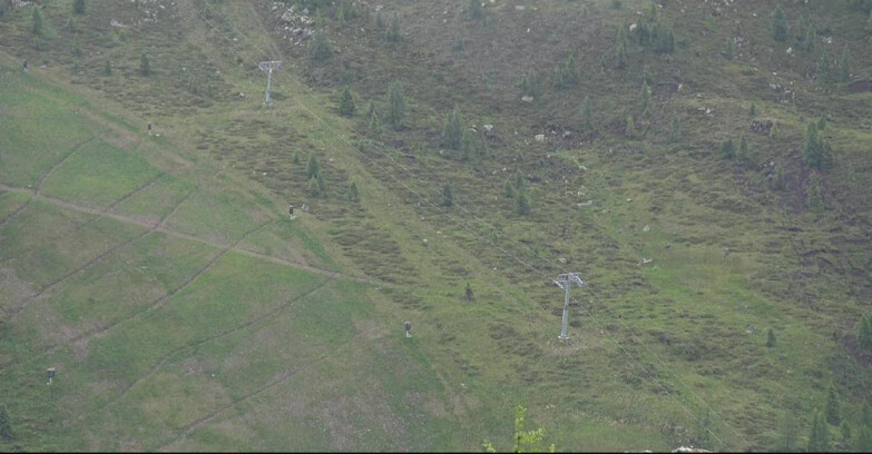 Webcam Сан-Мартино-ди-Кастроцца - Пассо-Ролле - Tognola - Pista Cigolera