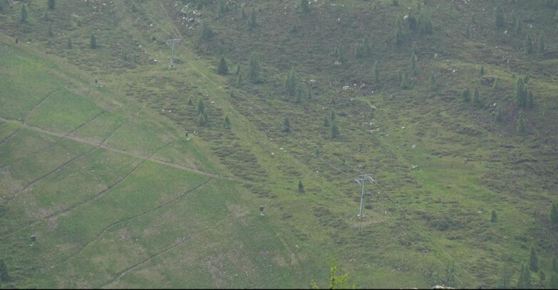 Webcam Сан-Мартино-ди-Кастроцца - Пассо-Ролле - Tognola - Pista Cigolera