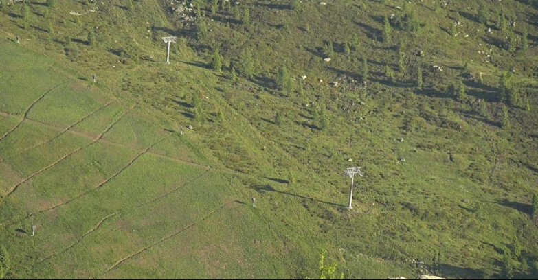Webcam San Martino di Castrozza - Passo Rolle - Tognola - Pista Cigolera