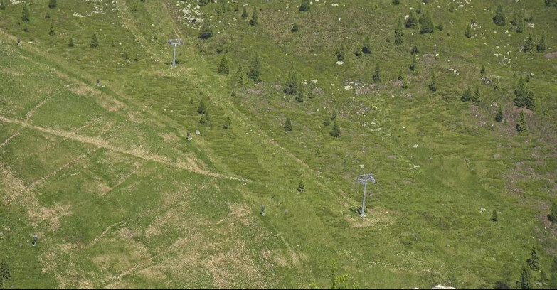 Webcam San Martino di Castrozza - Passo Rolle - Tognola - Pista Cigolera