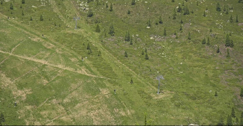 Webcam San Martino di Castrozza - Passo Rolle - Tognola - Pista Cigolera