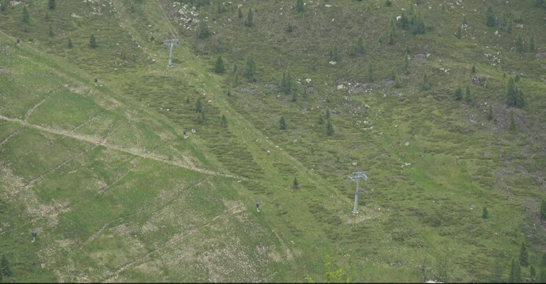 Webcam San Martino di Castrozza - Passo Rolle - Tognola - Pista Cigolera
