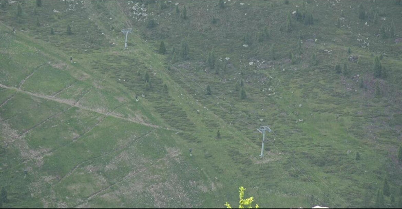 Webcam San Martino di Castrozza - Passo Rolle - Tognola - Pista Cigolera