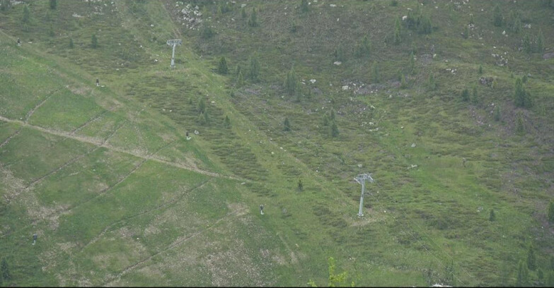 Webcam San Martino di Castrozza - Passo Rolle - Tognola - Pista Cigolera