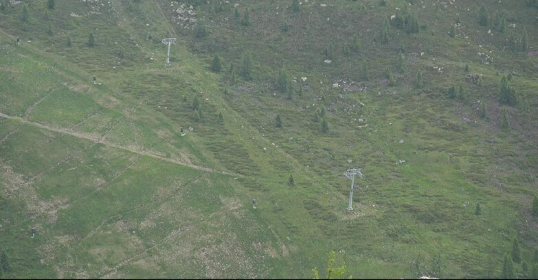 Webcam San Martino di Castrozza - Passo Rolle - Tognola - Pista Cigolera
