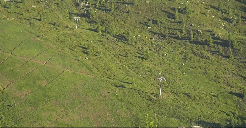 Webcam San Martino di Castrozza - Passo Rolle - Tognola - Pista Cigolera