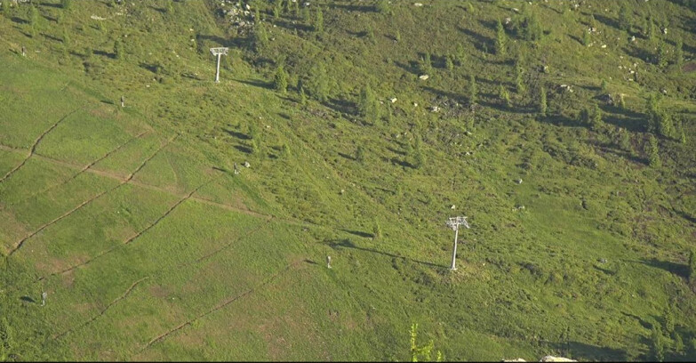 Webcam San Martino di Castrozza - Passo Rolle - Tognola - Pista Cigolera