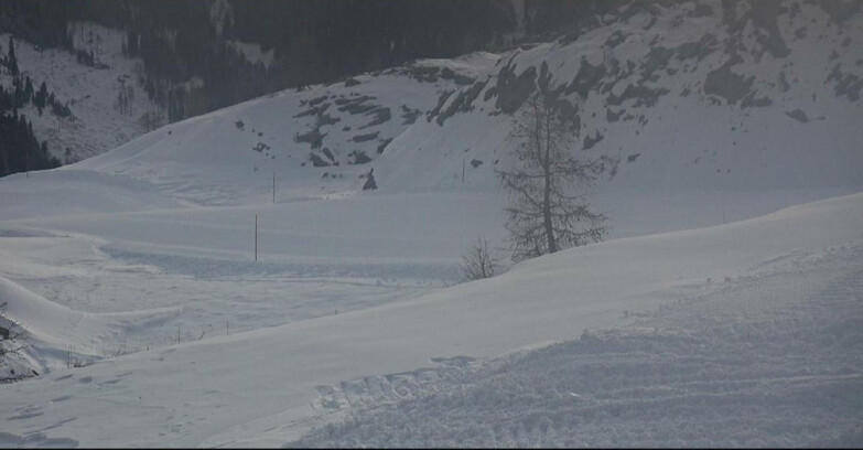 Webcam San Martino di Castrozza - Passo Rolle - Pista Tognola UNO