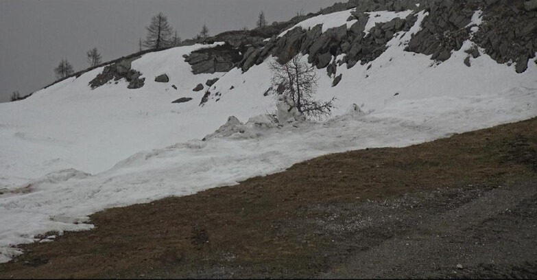 Webcam Сан-Мартино-ди-Кастроцца - Пассо-Ролле - Pista Tognola UNO