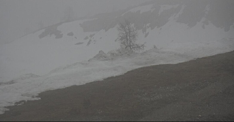 Webcam Сан-Мартино-ди-Кастроцца - Пассо-Ролле - Pista Tognola UNO