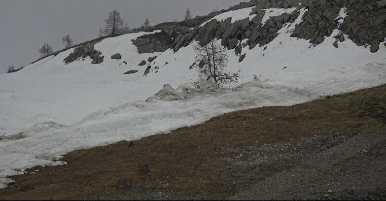 Webcam Сан-Мартино-ди-Кастроцца - Пассо-Ролле - Pista Tognola UNO