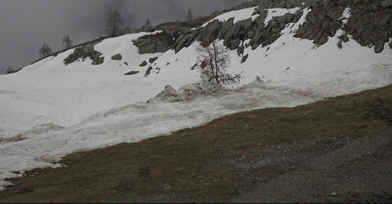 Webcam Сан-Мартино-ди-Кастроцца - Пассо-Ролле - Pista Tognola UNO