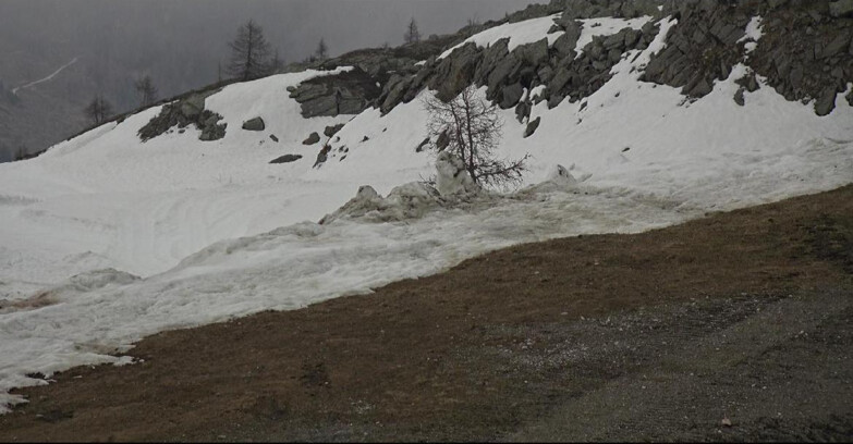 Webcam Сан-Мартино-ди-Кастроцца - Пассо-Ролле - Pista Tognola UNO