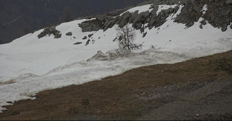 Webcam Сан-Мартино-ди-Кастроцца - Пассо-Ролле - Pista Tognola UNO