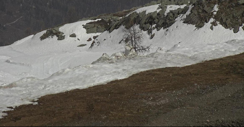 Webcam Сан-Мартино-ди-Кастроцца - Пассо-Ролле - Pista Tognola UNO