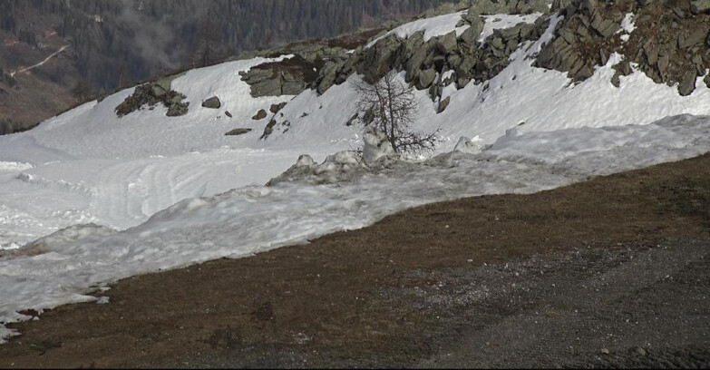 Webcam Сан-Мартино-ди-Кастроцца - Пассо-Ролле - Pista Tognola UNO