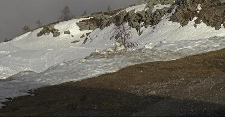 Webcam Сан-Мартино-ди-Кастроцца - Пассо-Ролле - Pista Tognola UNO