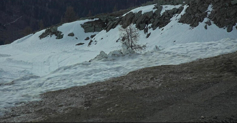 Webcam Сан-Мартино-ди-Кастроцца - Пассо-Ролле - Pista Tognola UNO