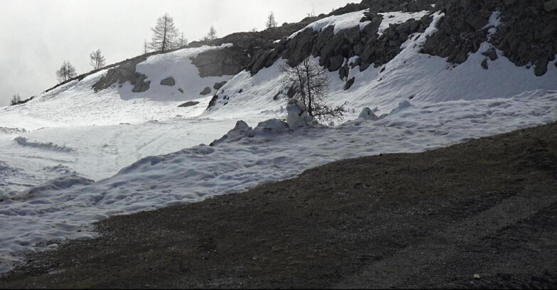 Webcam Сан-Мартино-ди-Кастроцца - Пассо-Ролле - Pista Tognola UNO