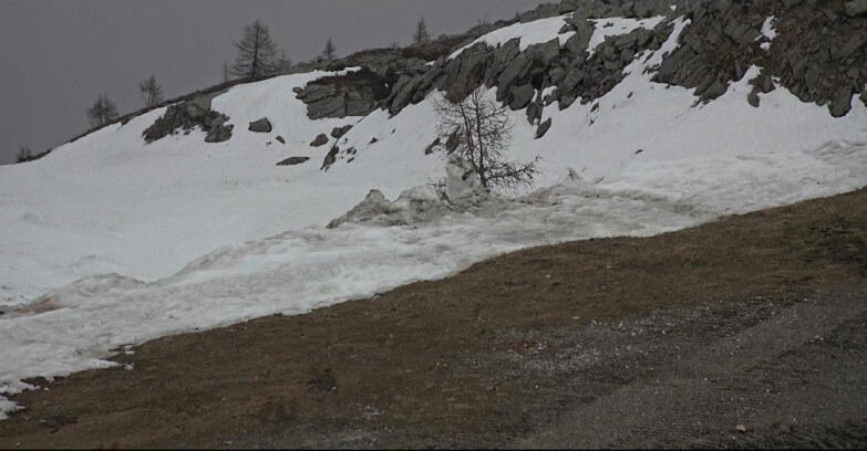 Webcam San Martino di Castrozza - Passo Rolle - Pista Tognola UNO