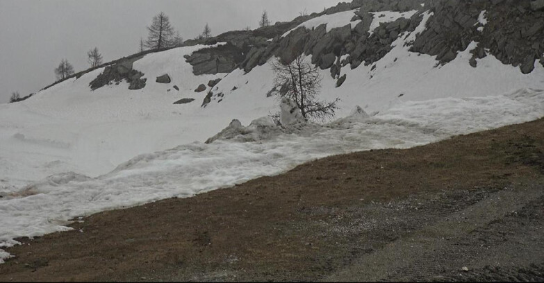 Webcam San Martino di Castrozza - Passo Rolle - Pista Tognola UNO