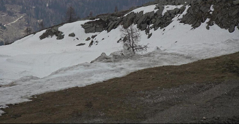 Webcam San Martino di Castrozza - Passo Rolle - Pista Tognola UNO