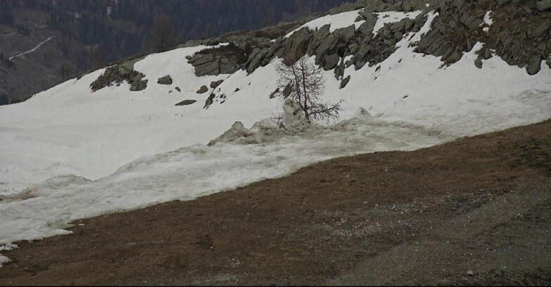 Webcam San Martino di Castrozza - Passo Rolle - Pista Tognola UNO