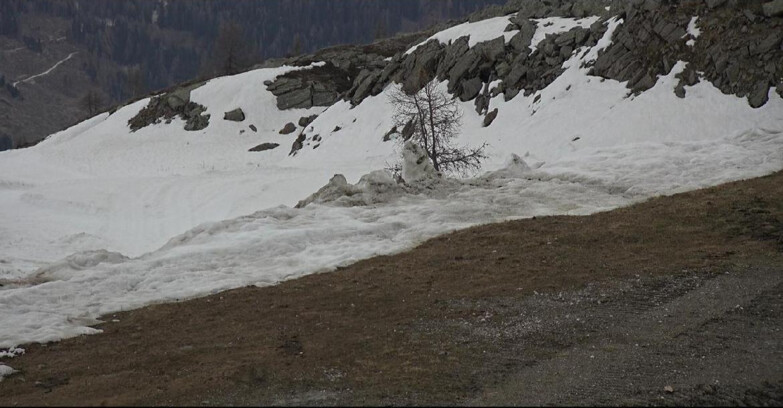 Webcam San Martino di Castrozza - Passo Rolle - Pista Tognola UNO