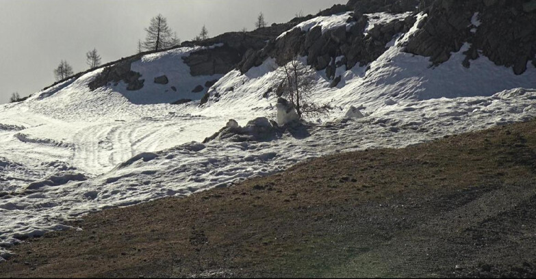 Webcam San Martino di Castrozza - Passo Rolle - Pista Tognola UNO