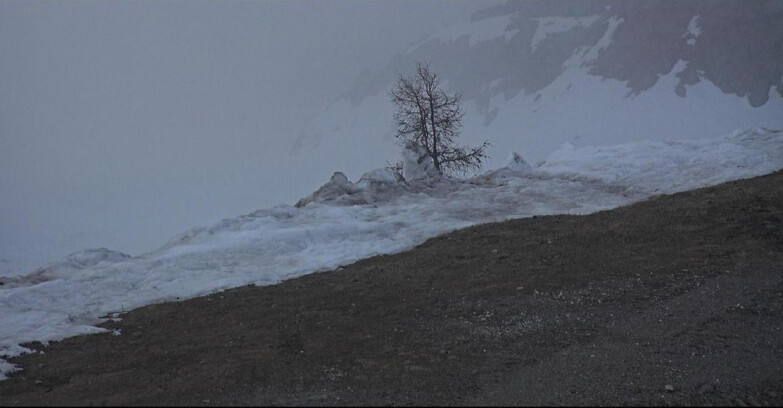 Webcam San Martino di Castrozza - Passo Rolle - Pista Tognola UNO
