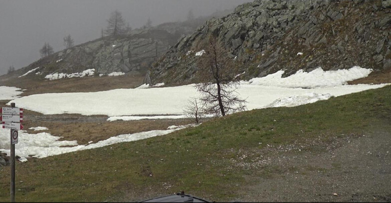 Webcam Сан-Мартино-ди-Кастроцца - Пассо-Ролле - Pista Tognola UNO