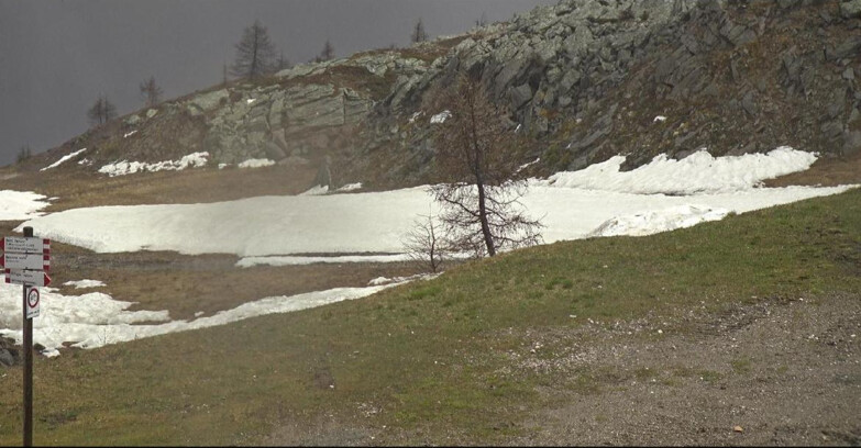 Webcam Сан-Мартино-ди-Кастроцца - Пассо-Ролле - Pista Tognola UNO