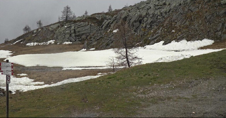 Webcam Сан-Мартино-ди-Кастроцца - Пассо-Ролле - Pista Tognola UNO