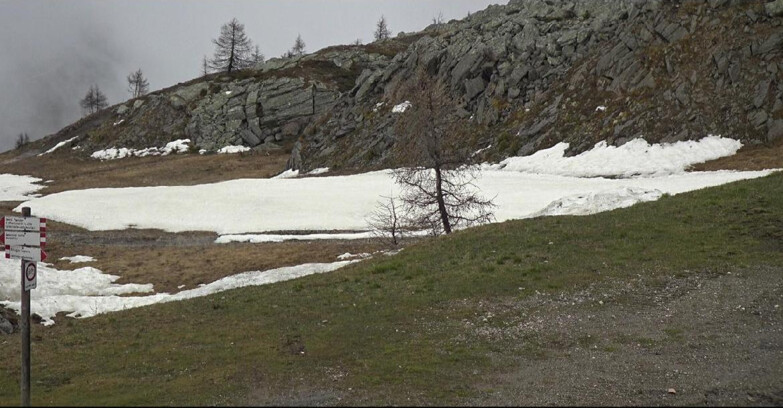 Webcam Сан-Мартино-ди-Кастроцца - Пассо-Ролле - Pista Tognola UNO