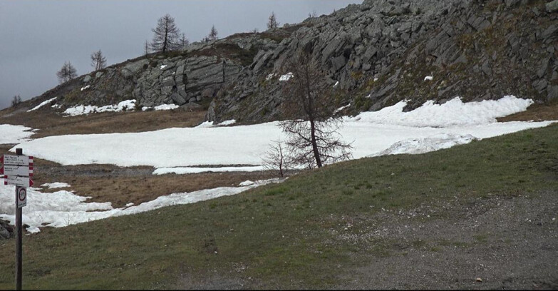 Webcam Сан-Мартино-ди-Кастроцца - Пассо-Ролле - Pista Tognola UNO