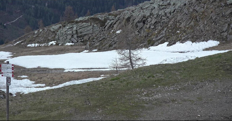 Webcam San Martino di Castrozza - Passo Rolle - Pista Tognola UNO