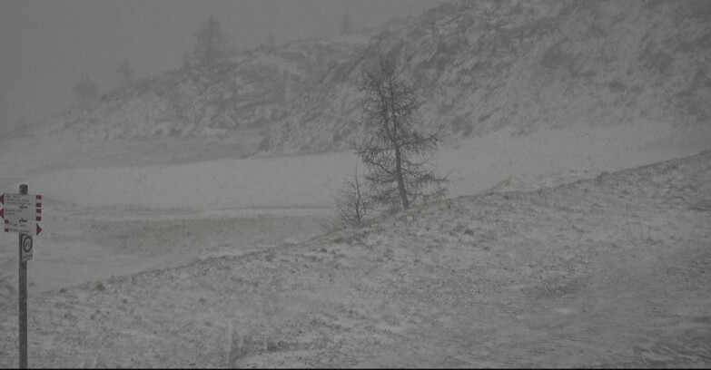 Webcam San Martino di Castrozza - Passo Rolle - Pista Tognola UNO