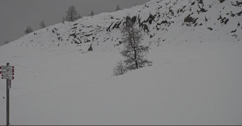 Webcam San Martino di Castrozza - Passo Rolle - Pista Tognola UNO
