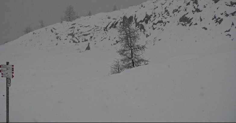 Webcam San Martino di Castrozza - Passo Rolle - Pista Tognola UNO