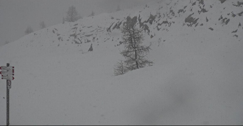Webcam San Martino di Castrozza - Passo Rolle - Pista Tognola UNO