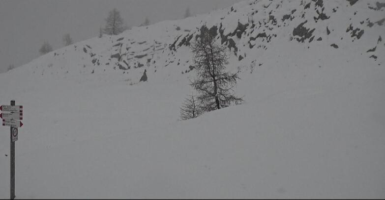Webcam San Martino di Castrozza - Passo Rolle - Pista Tognola UNO