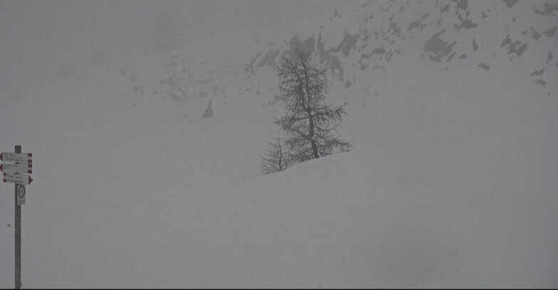 Webcam San Martino di Castrozza - Passo Rolle - Pista Tognola UNO