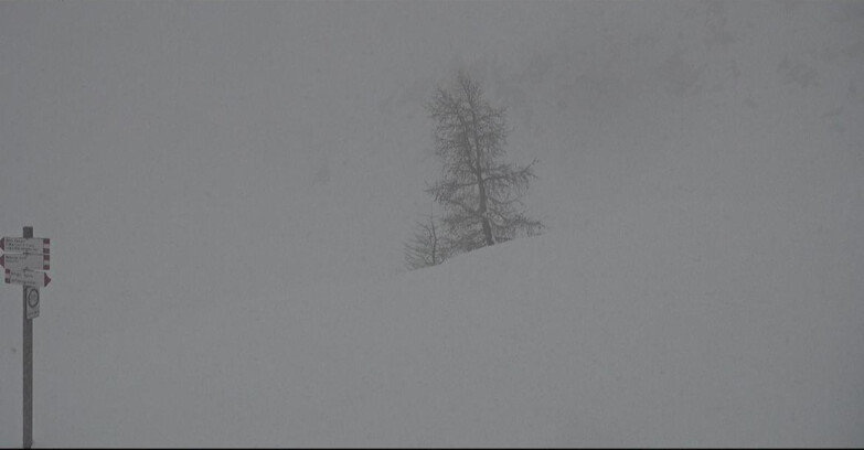 Webcam San Martino di Castrozza - Passo Rolle - Pista Tognola UNO