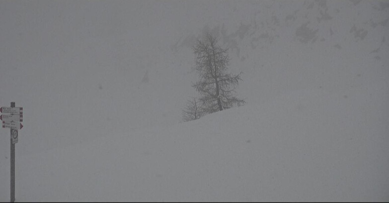 Webcam San Martino di Castrozza - Passo Rolle - Pista Tognola UNO