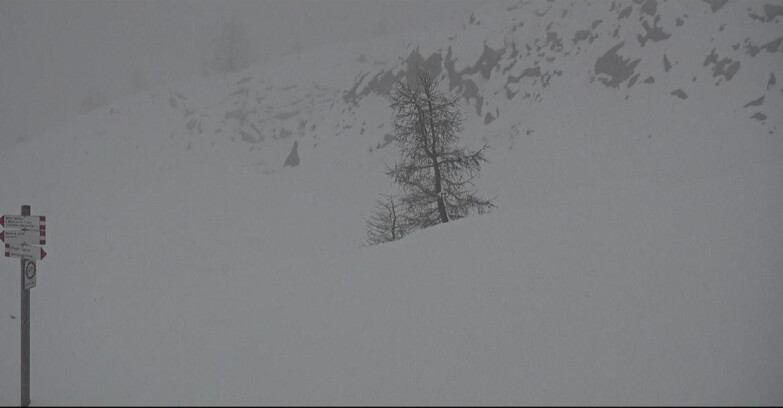 Webcam San Martino di Castrozza - Passo Rolle - Pista Tognola UNO