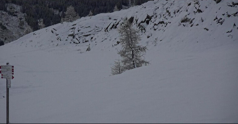 Webcam San Martino di Castrozza - Passo Rolle - Pista Tognola UNO
