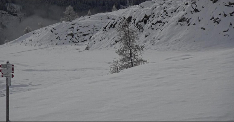 Webcam San Martino di Castrozza - Passo Rolle - Pista Tognola UNO
