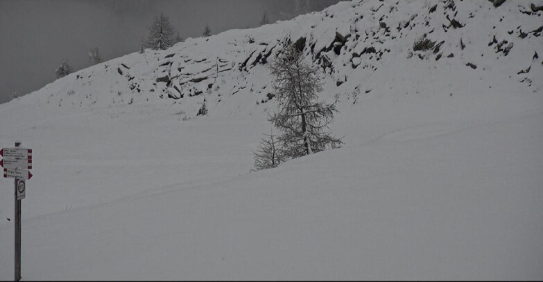 Webcam San Martino di Castrozza - Passo Rolle - Pista Tognola UNO
