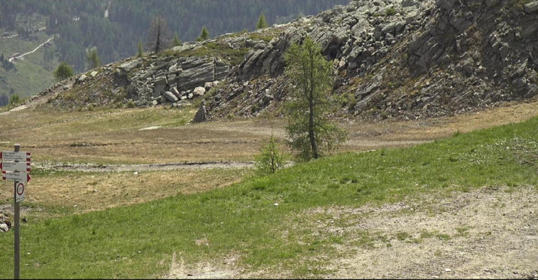 Webcam Сан-Мартино-ди-Кастроцца - Пассо-Ролле - Pista Tognola UNO